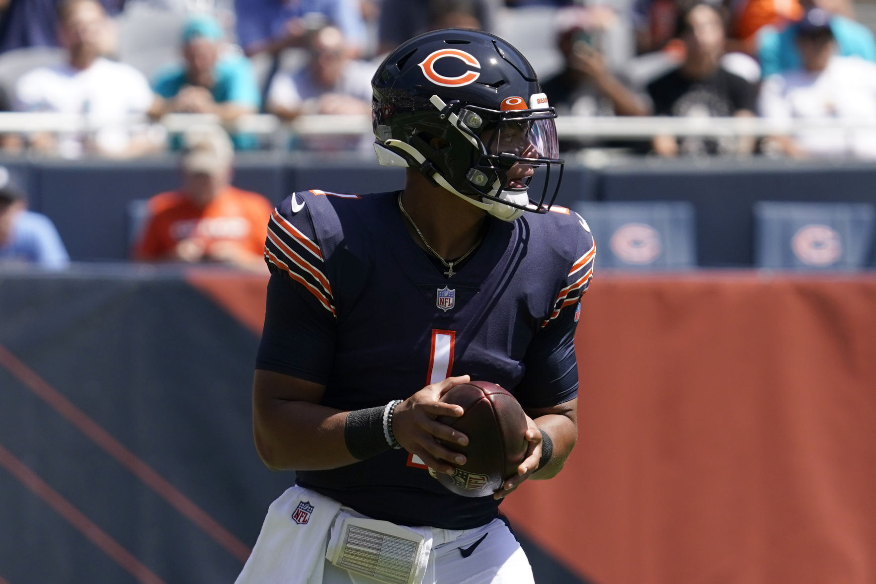 Dolphins Bears Football